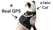 Rechargeable Pet Locator for Cats Portable GPS GSM Tracking Device NEW Size:S