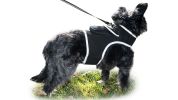 Mini Rechargeable PetTracking GSM GPS Real-time Phone Location Finder Size:L