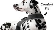 Portable Cat Dog Locator Device Collar Mount Tracker with Power Alerts Size:L